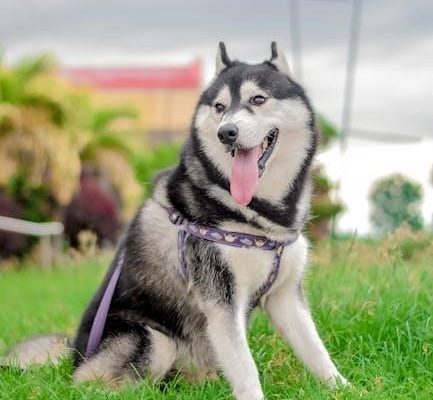 puppia harness size guide