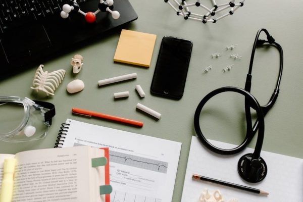 human anatomy and physiology lab manual answer key pdf