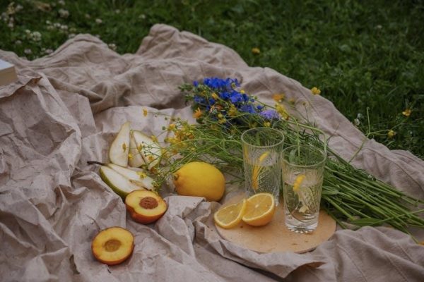 the lemonade war pdf