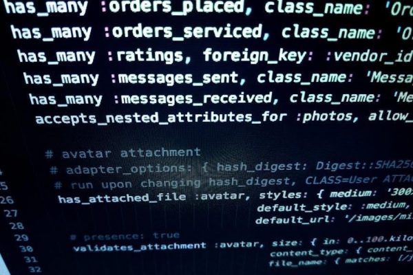 marcus filly program pdf free