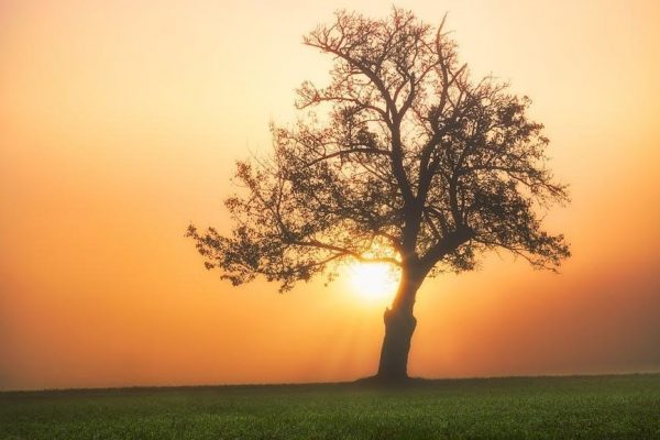 morning and evening adhkar pdf